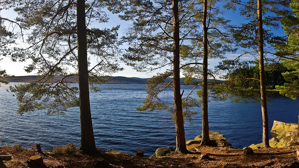 Kielder Campsite