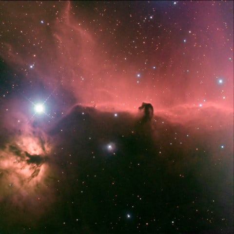 Horsehead Nebula in Orion by Robbie Ince