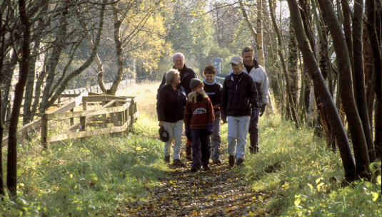 Family walking