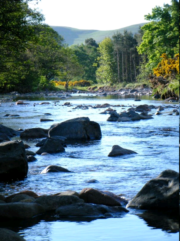 Cheviot Holiday Cottages