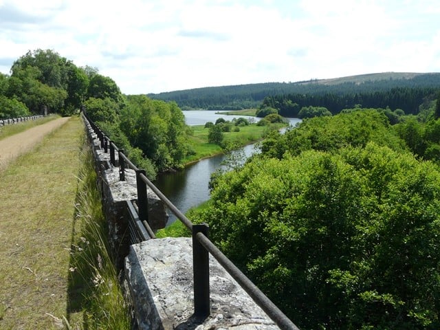 Verdant view from the viaduct.