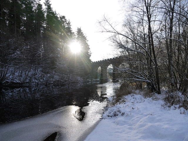 Splendour in the snow.