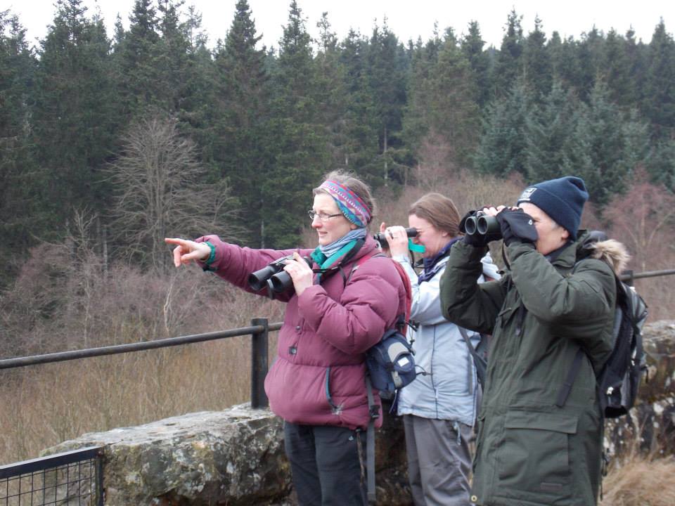 The viaduct is a great viewpoint for watching wildlife on Bakethin Nature Reserve (© Kelly Hollings)